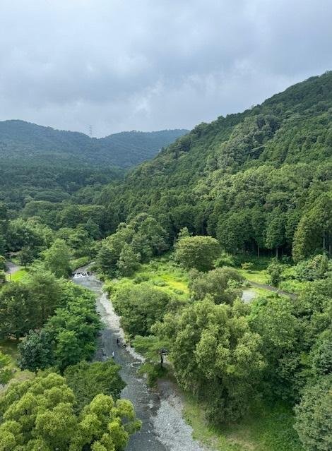 秦野戸川公園2